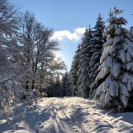 Birkelbach Casa de Férias