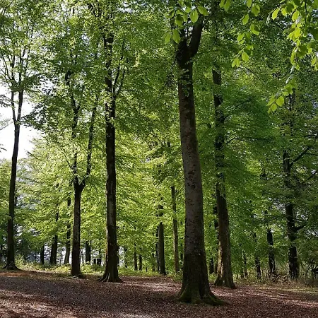 Birkelbach Casa de Férias Erndtebrück