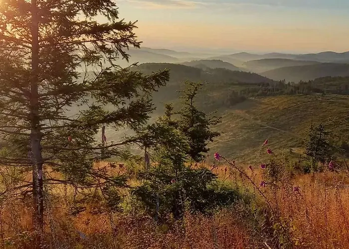 Birkelbach * Erndtebrück