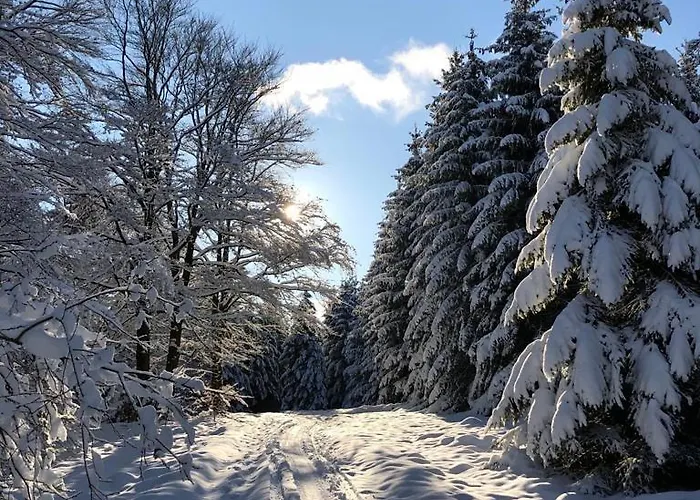 Birkelbach Semesterbostad