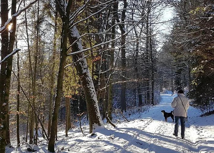 Birkelbach Semesterbostad