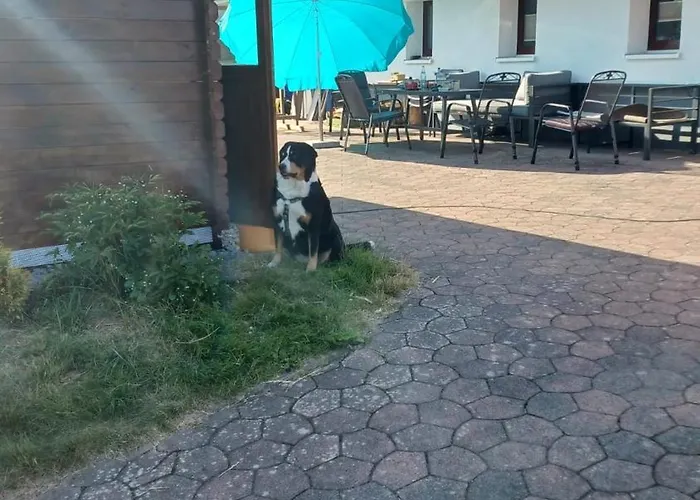 Semesterbostad Birkelbach *